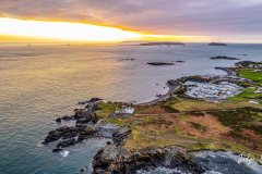 FD-001-scaled FD-001-scaled